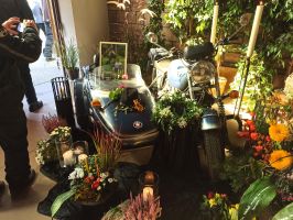 Michael Mallingriaux 4